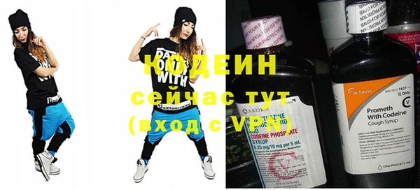 ешки Бородино