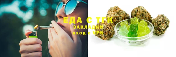 ешки Бородино