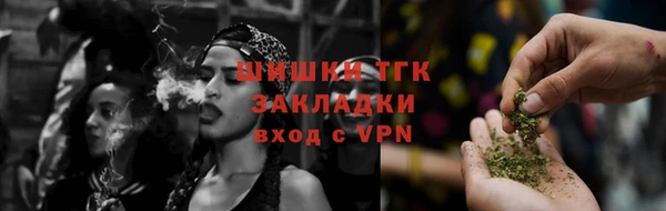 ешки Бородино
