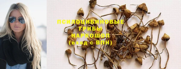 ешки Бородино
