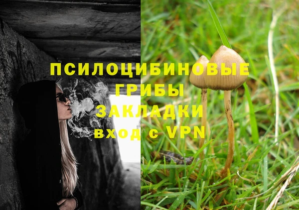 ешки Бородино